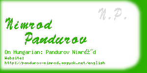 nimrod pandurov business card